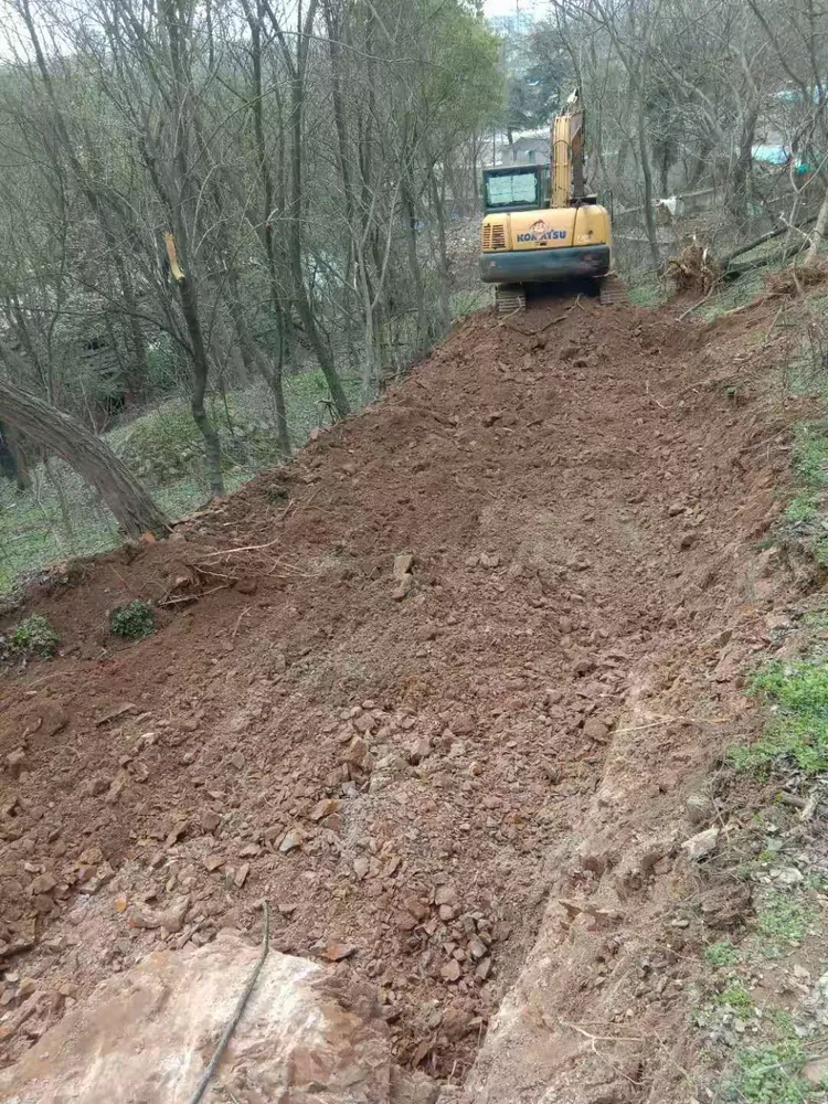 【黄山地区哪里疫情严重,黄山是否有疫情】-第1张图片