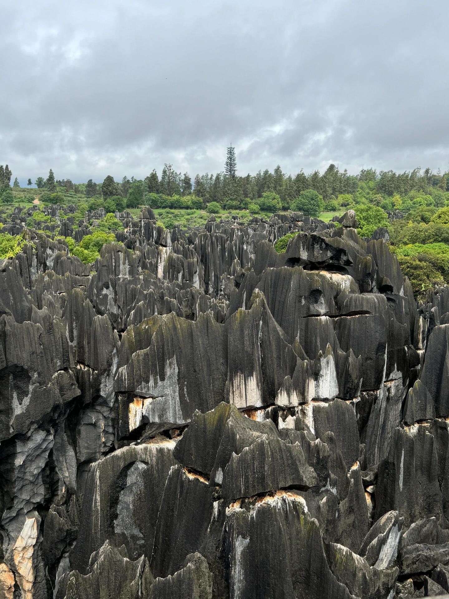 昆明旅游必去的景点.来昆明必去的景点-第2张图片