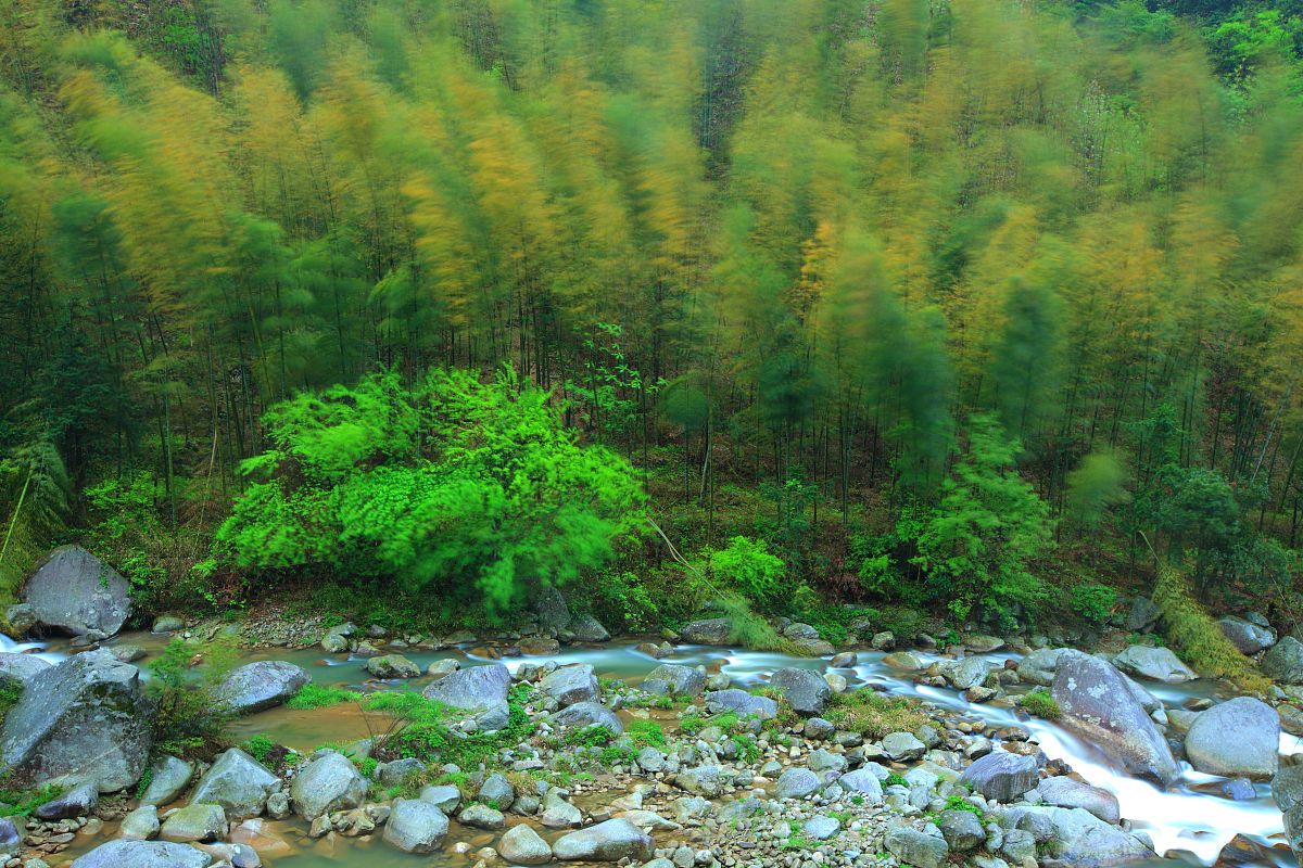 “蜀南竹海一日游攻略	” 蜀南竹海一日游最佳路线？-第1张图片