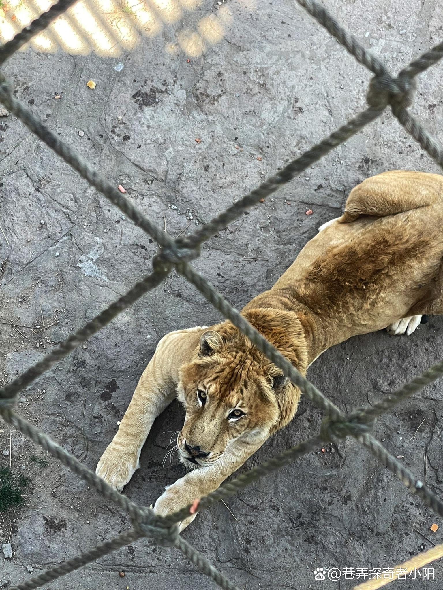“威海有什么好玩的地方” 威海有什么景点值得玩？-第2张图片