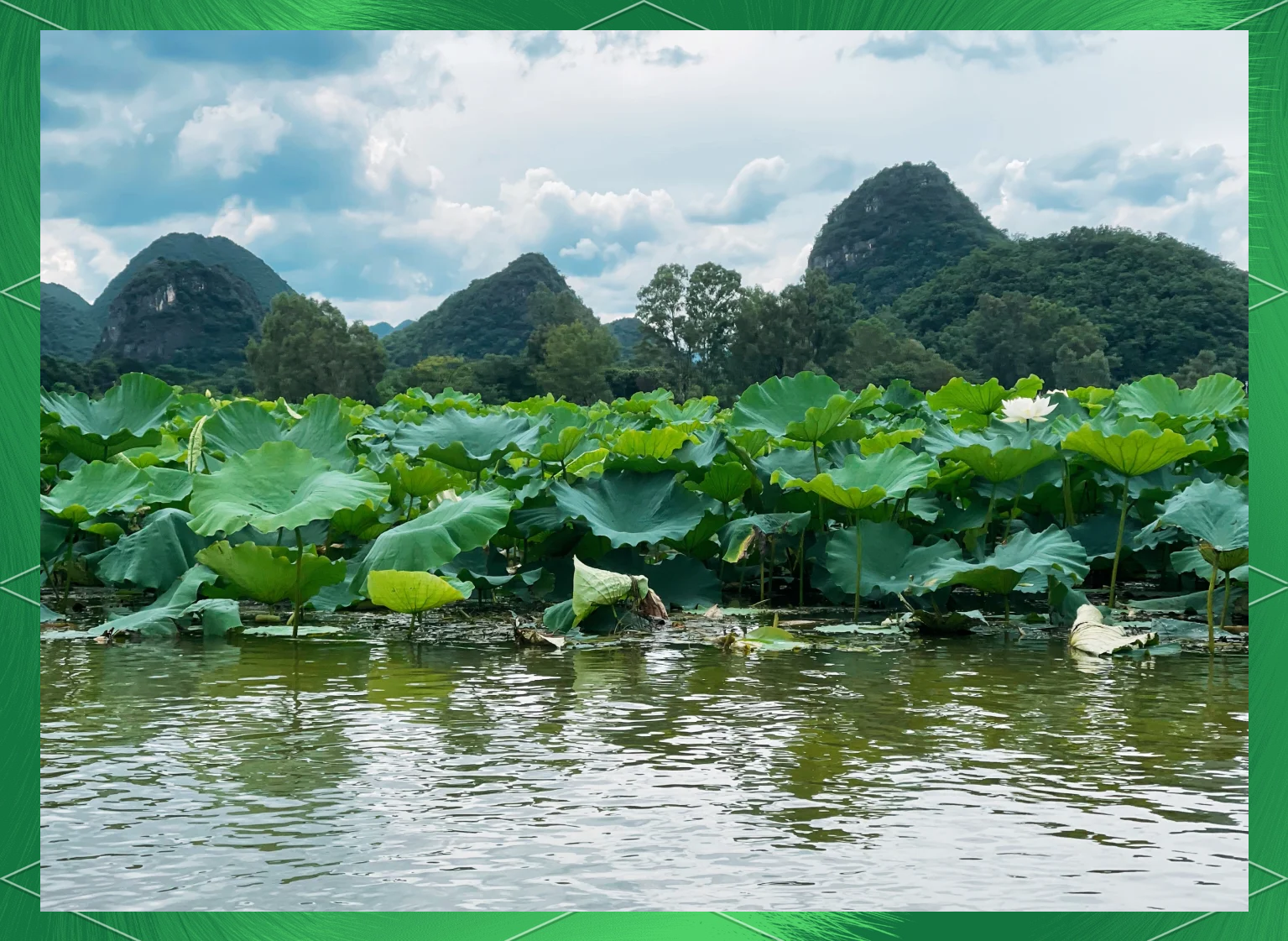 “普者黑最佳旅游时间	” 普者黑最佳旅游时间是几月份？-第1张图片