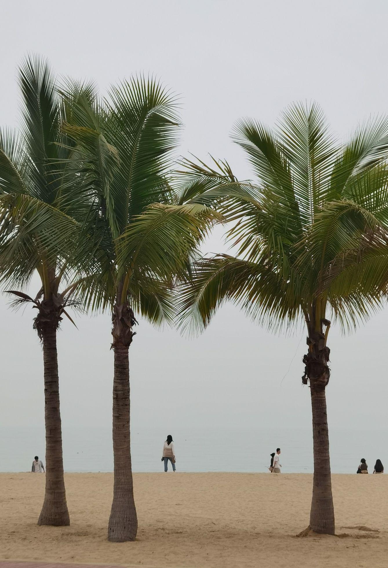 珠海旅游攻略必玩的景点.珠海旅游景点攻略大全-第1张图片